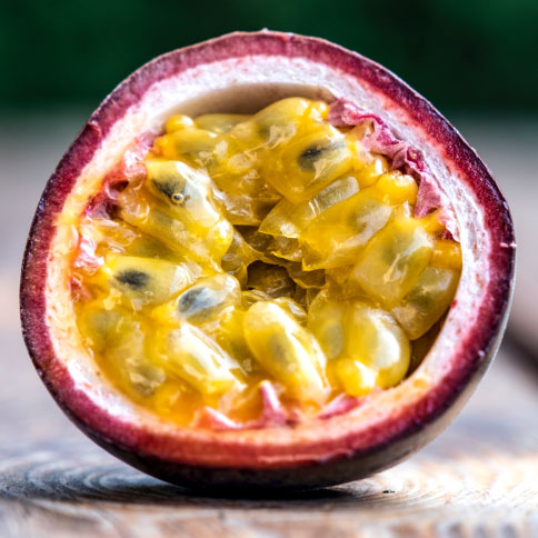 Passion-Fruit-Home-Page-Scent-Image