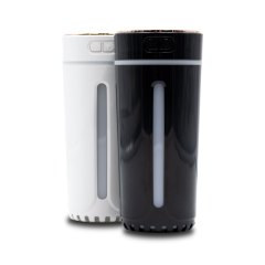 AutoMist-Black-White