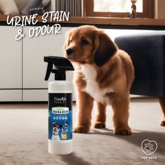 PowAir Urine Stain &amp; Odour