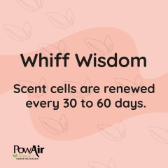 Whiff Wisdom