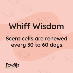 Whiff of Wisdom