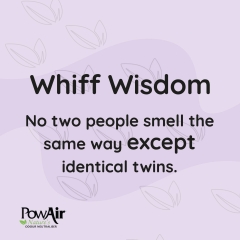 Whiff of Wisdom