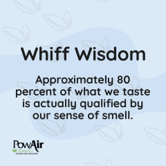 Whiff Wisdom