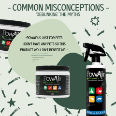 Common Misconceptions