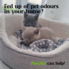 Pet Odours
