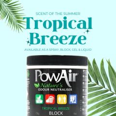 Tropical Breeze