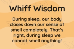 Whiff of Wisdom