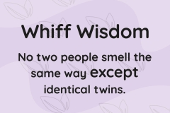 Whiff of Wisdom