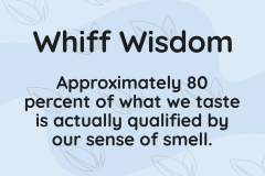 Whiff of Wisdom