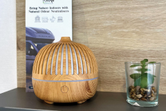 Harmony Mist Diffuser - Leisure