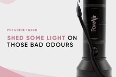Urine Torch