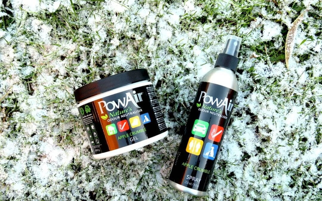 Enjoy the Holiday Season without Christmas Odours