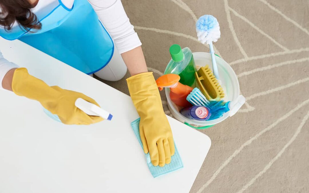 Pet Safe Cleaning at Home