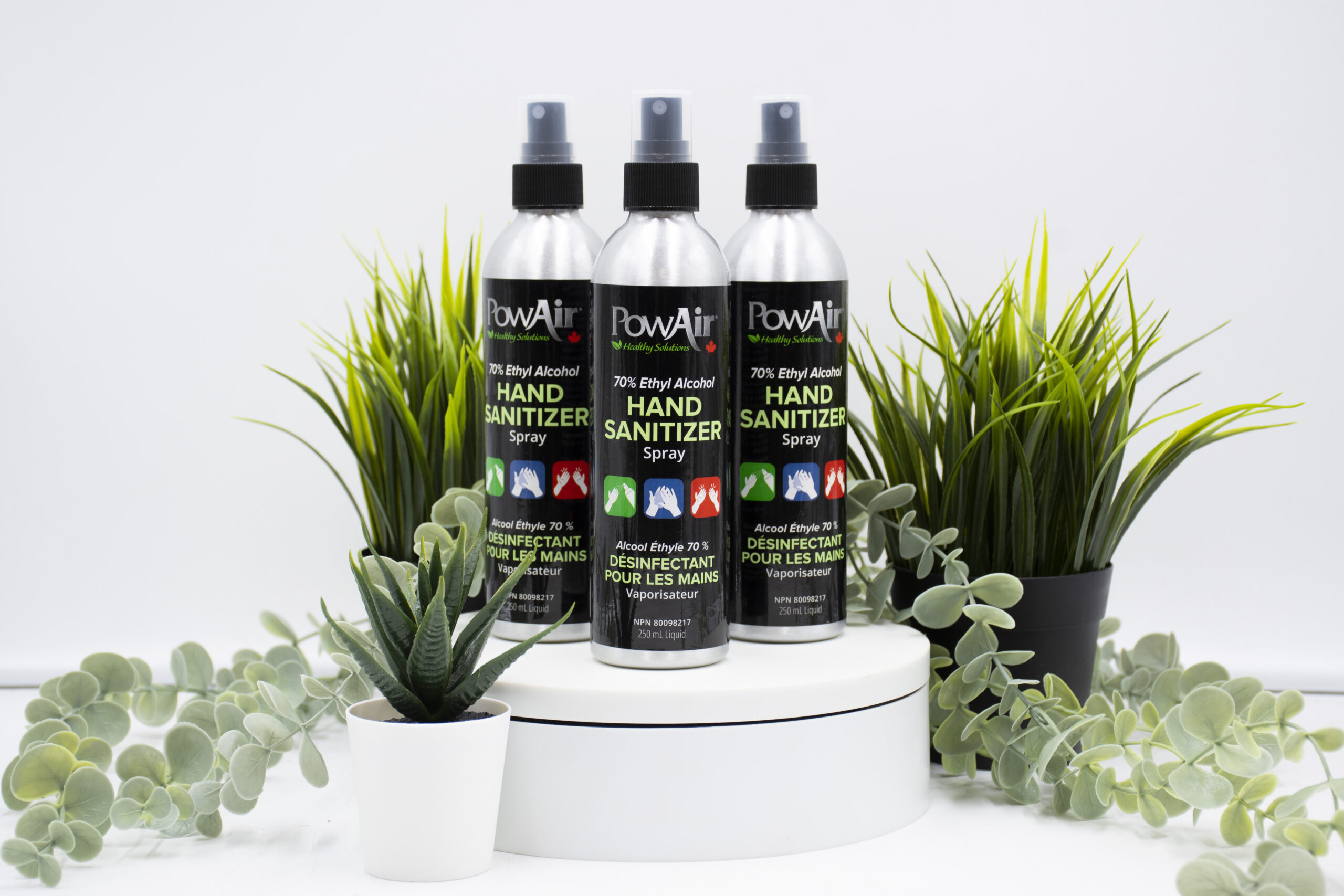 PowAir Hand Sanitiser perfect for use in dog grooming salons and loved by dog walkers