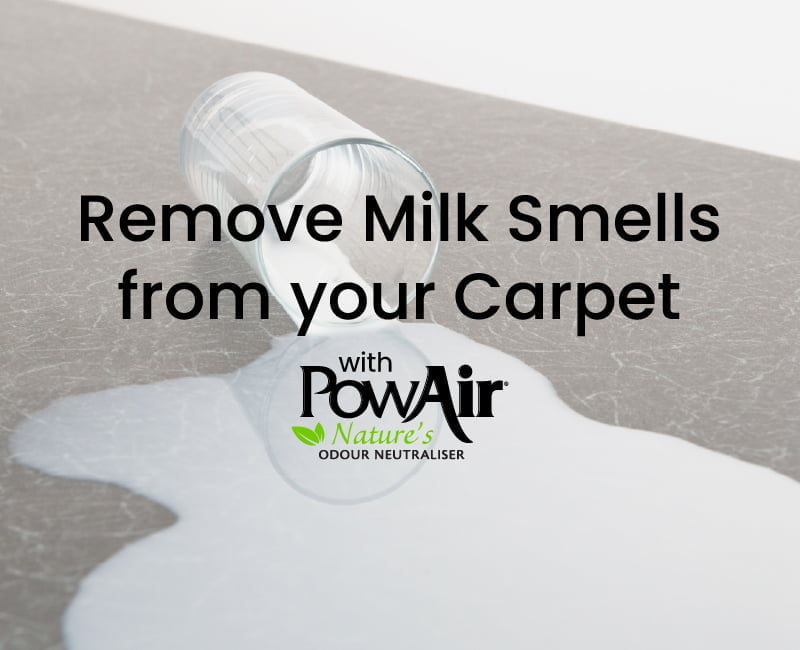 How to Easily Remove Milk Smell from Your Carpet