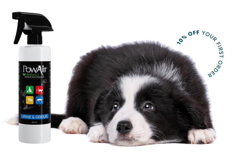 powair urine & odour remove urine smells from your home