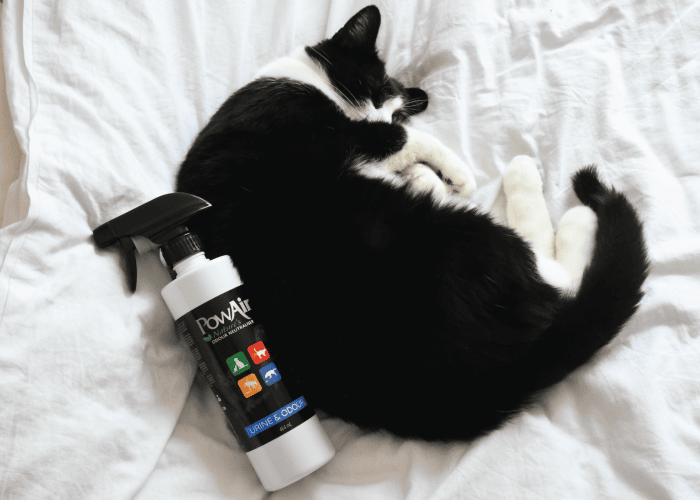 PowAir urine odour eliminator for cat pee odour removal
