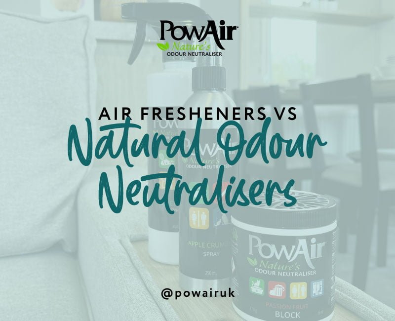 Exploring the Scented Divide: Air Fresheners vs. Natural Odour Neutralisers