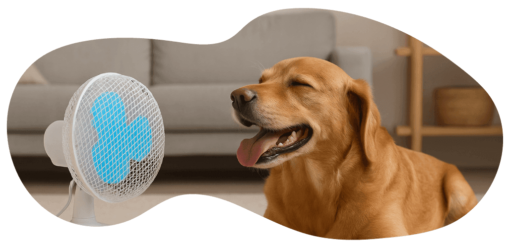 dog in front of powair clip fan keeping cool