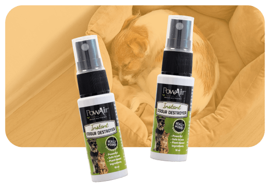 PowAir-Instant-Odour-Mini-Spray-Product-Page-Feature-Image powair apple crumble mini spray